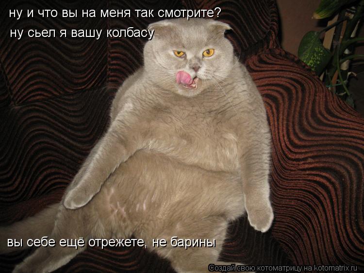Котоматрица: ну и что вы на меня так смотрите? ну сьел я вашу колбасу вы себе ещё отрежете, не барины