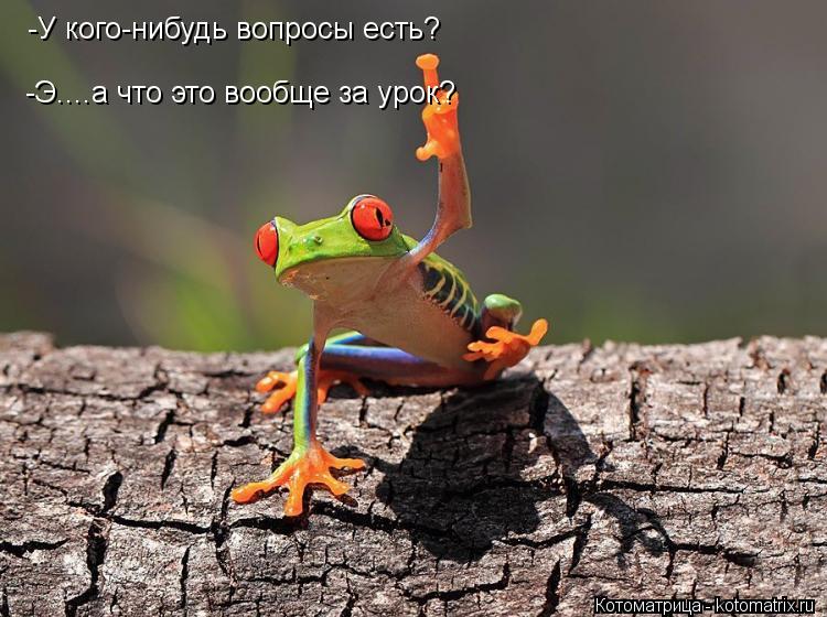 Котоматрица: -У кого-нибудь вопросы есть? -Э....а что это вообще за урок?