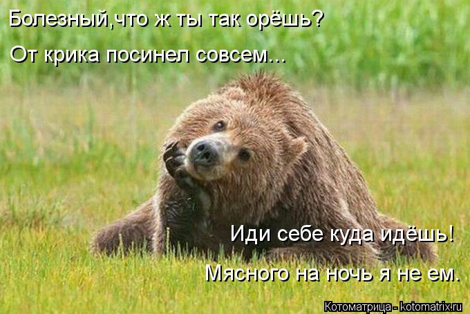 Котоматрица: Болезный,что ж ты так орёшь? Иди себе куда идёшь! От крика посинел совсем... Мясного на ночь я не ем.