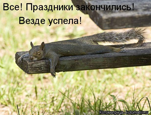 Котоматрица: Все! Праздники закончились! Везде успела!