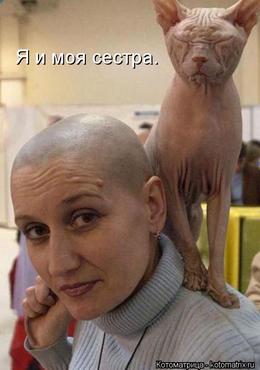 Котоматрица: Я и моя сестра.