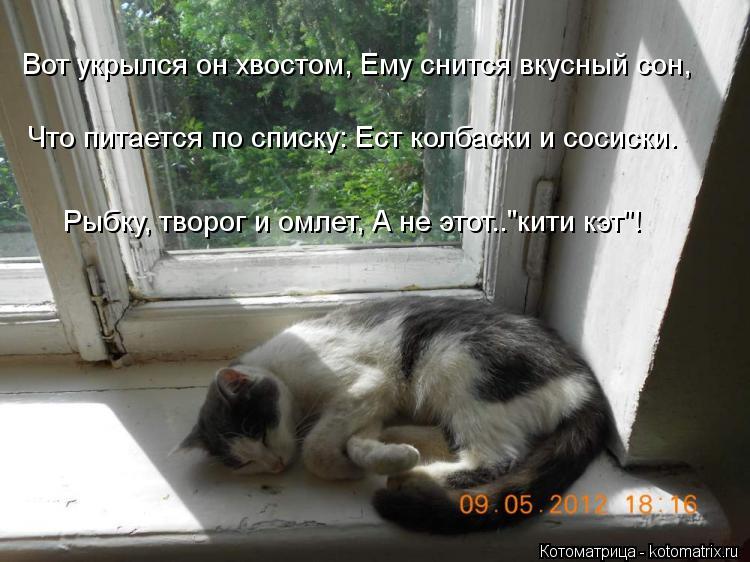 Котоматрица: Вот укрылся он хвостом, Ему снится вкусный сон,    Что питается по списку: Ест колбаски и сосиски.    Рыбку, творог и омлет, А не этот.."кити кэт"!