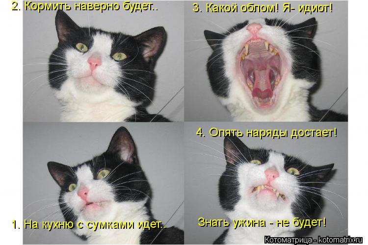 Котоматрица: 2. Кормить наверно будет.. 1. На кухню с сумками идет.. 3. Какой облом! Я- идиот! 4. Опять наряды достает! Знать ужина - не будет!