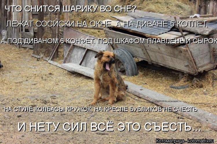 Котоматрица: ЧТО СНИТСЯ ШАРИКУ ВО СНЕ?     ЛЕЖАТ СОСИСКИ НА ОКНЕ, А НА ДИВАНЕ 5 КОТЛЕТ,    А ПОД ДИВАНОМ 6 КОНФЕТ. ПОД ШКАФОМ ПЛАВЛЕНЫЙ СЫРОК,    НА СТУЛЕ КОЛБАС