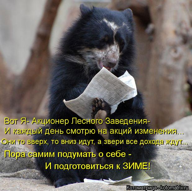 Котоматрица: Вот Я- Акционер Лесного Заведения- И каждый день смотрю на акций изменения... Они то вверх, то вниз идут, а звери все дохода ждут... Пора самим п