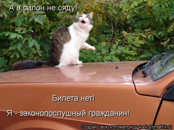 Котоматрица: А в салон не сяду! Билета нет! Я - законопослушный гражданин!