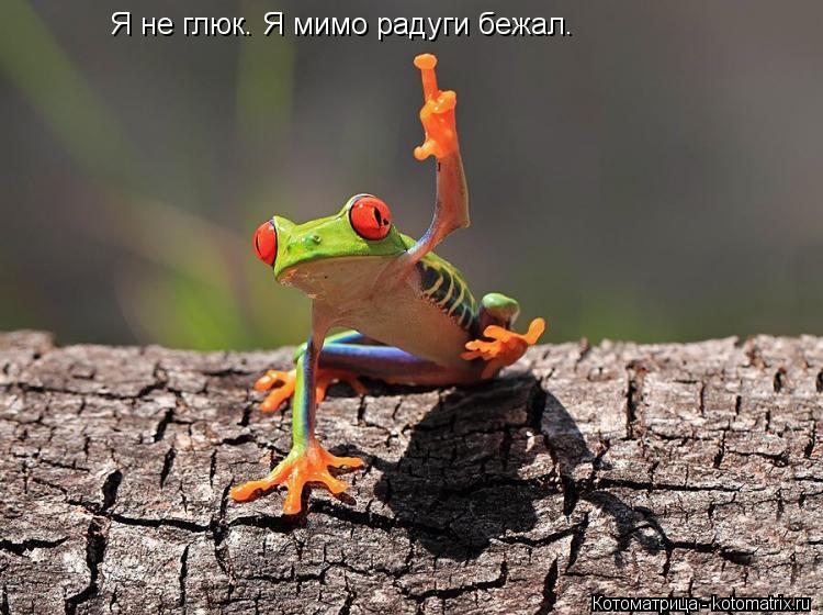 Котоматрица: Я не глюк. Я не глюк. Я мимо радуги бежал.