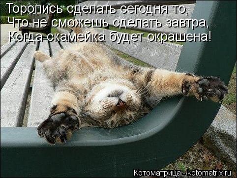 Котоматрица: Торопись сделать сегодня то, Что не сможешь сделать завтра, Когда скамейка будет окрашена!