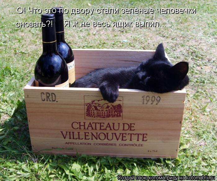 Котоматрица: О! Что это по двору стали зелёные человечки  сновать?!  Я ж не весь ящик выпил...