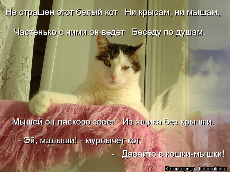 Котоматрица: Не страшен этот белый кот   Ни крысам, ни мышам,    Частенько с ними он ведет   Беседу по душам.    Мышей он ласково зовет   Из ящика без крышки.    -