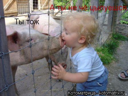 Котоматрица: А ты не чё цылуешся. Ты тож