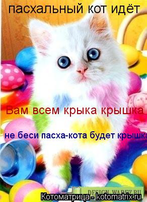 Котоматрица: пасхальный кот идёт Вам всем крыка крышка не беси пасха-кота будет крышка