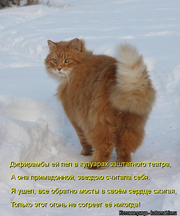 Котоматрица: Дифирамбы ей пел в кулуарах заштатного театра, А она примадонной, звездою считала себя. Я ушел, все обратно мосты в своём сердце сжигая, Толь