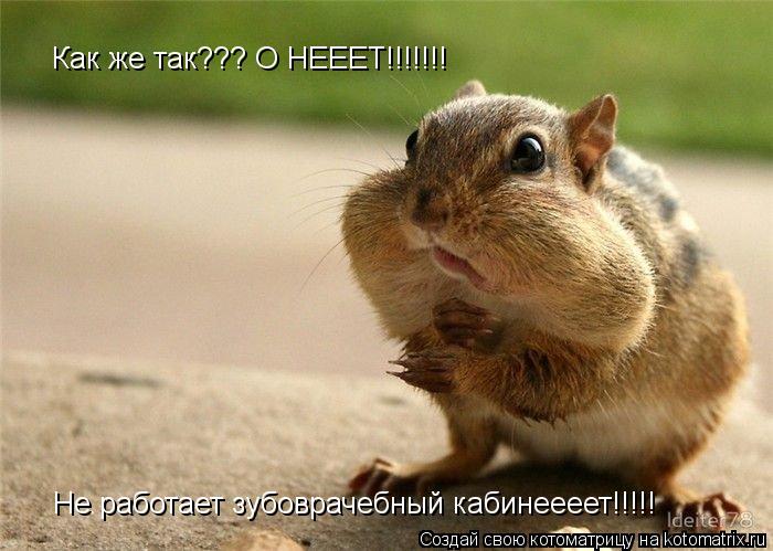 Котоматрица: Как же так??? О НЕЕЕТ!!!!!!! Не работает зубоврачебный кабинеееет!!!!!