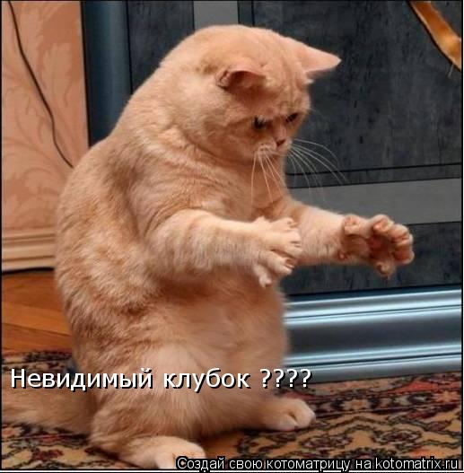 Котоматрица: Невидимый клубок ????