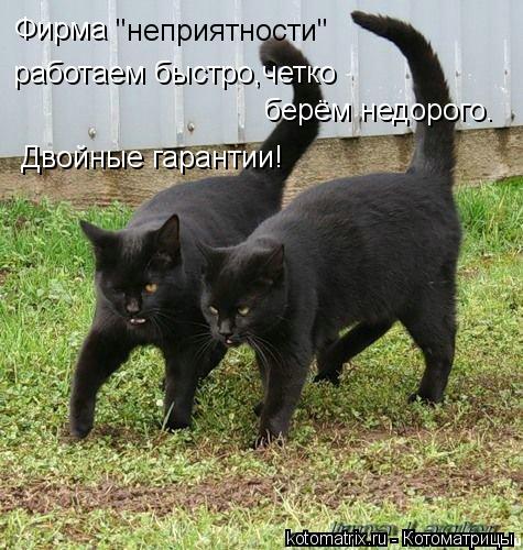Котоматрица: Фирма "неприятности" работаем быстро,четко берём недорого.  Двойные гарантии!