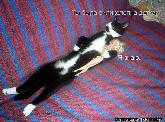 Котоматрица: Ты была виликолепна детка. Я знаю.