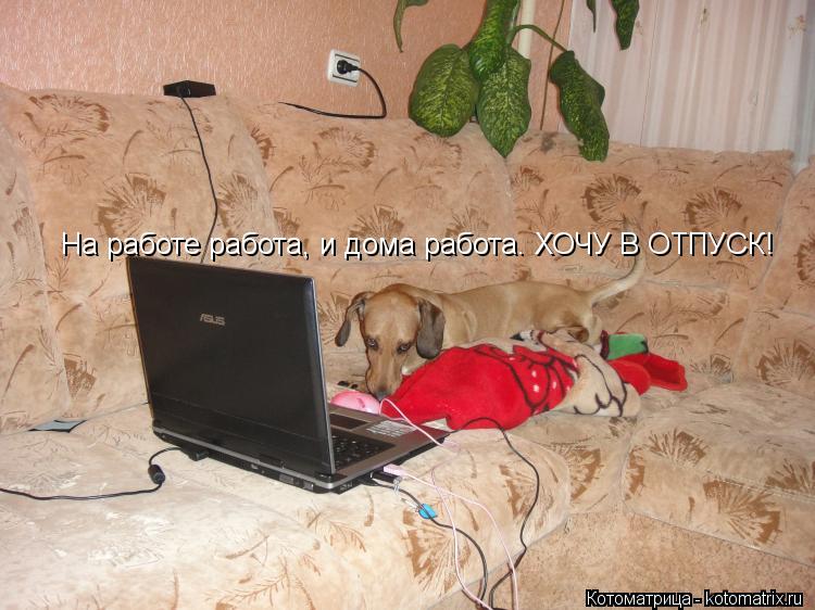 Котоматрица: На работе работа, и дома работа. ХОЧУ В ОТПУСК!