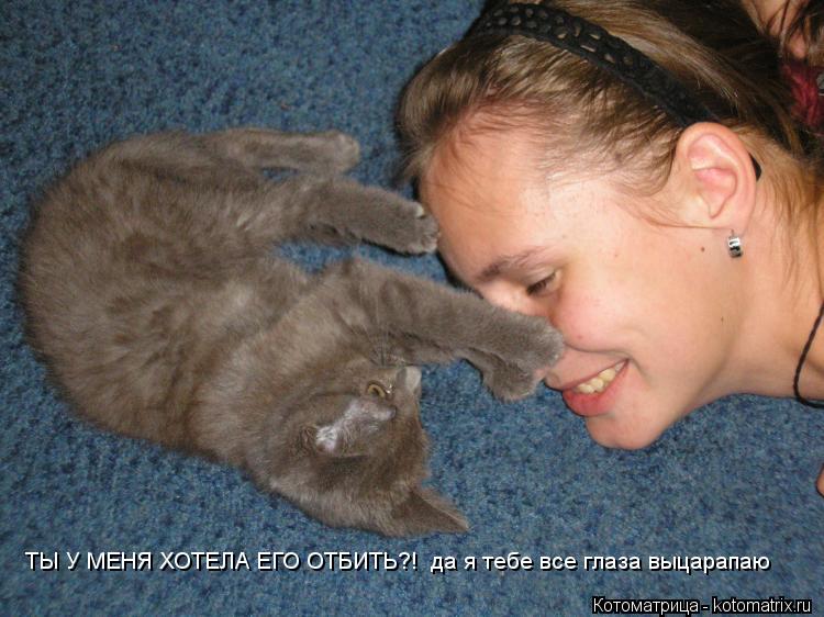ТЫ У МЕНЯ ХОТЕЛА ЕГО ОТБИТЬ?! да я тебе все глаза выцарапаю... Котоматрица: ТЫ У МЕНЯ ХОТЕЛА ЕГО ОТБИТЬ?! да я тебе все глаза выцарапаю
