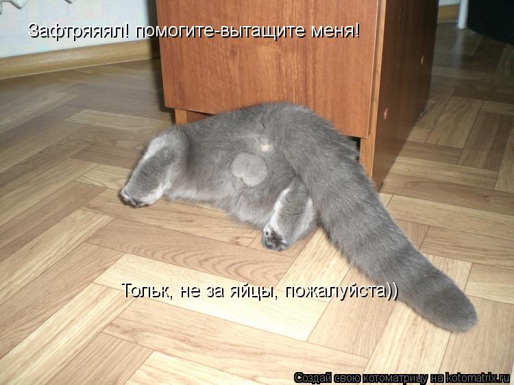 Котоматрица: Зафтряяял! помогите-вытащите меня! Тольк, не за яйцы, пожалуйста))