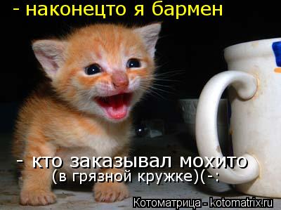 Котоматрица: наконецто я бармен - - кто заказывал мохито  (в грязной кружке)(-: