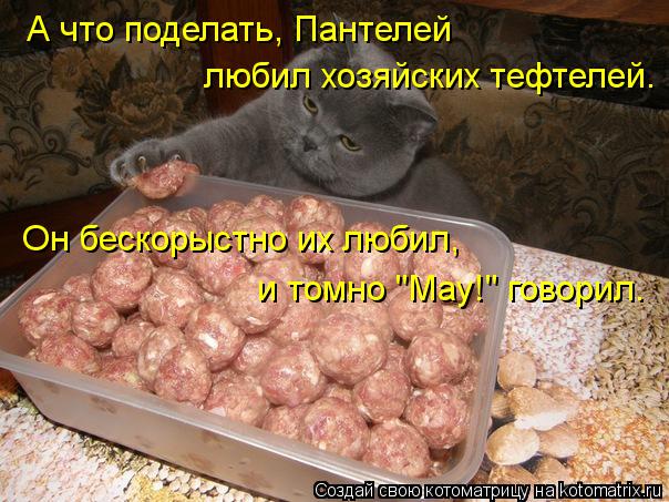 Котоматрица: А что поделать, Пантелей любил хозяйских тефтелей. Он бескорыстно их любил, и томно "Мау!" говорил.