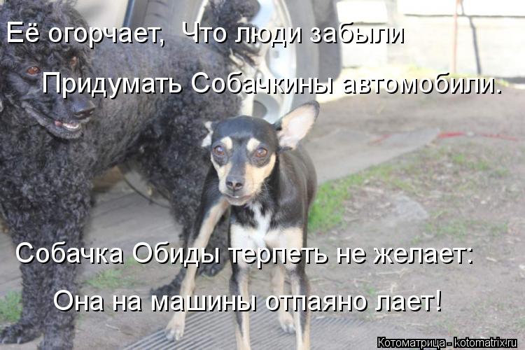 Котоматрица: Её огорчает,  Что люди забыли     Придумать Собачкины автомобили.     Собачка Обиды терпеть не желает:   Она на машины отпаяно лает!
