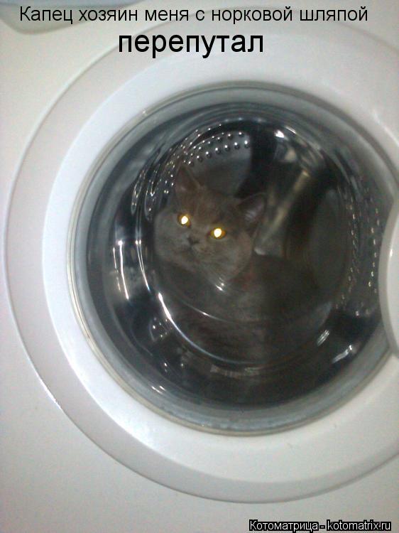 Капец хозяин меня с норковой шляпой перепутал... Котоматрица: Капец хозяин меня с норковой шляпой перепутал