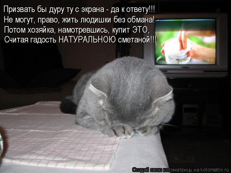 Котоматрица: Призвать бы дуру ту с экрана - да к ответу!!! Не могут, право, жить людишки без обмана! - Потом хозяйка, намотревшись, купит ЭТО, Считая гадость 