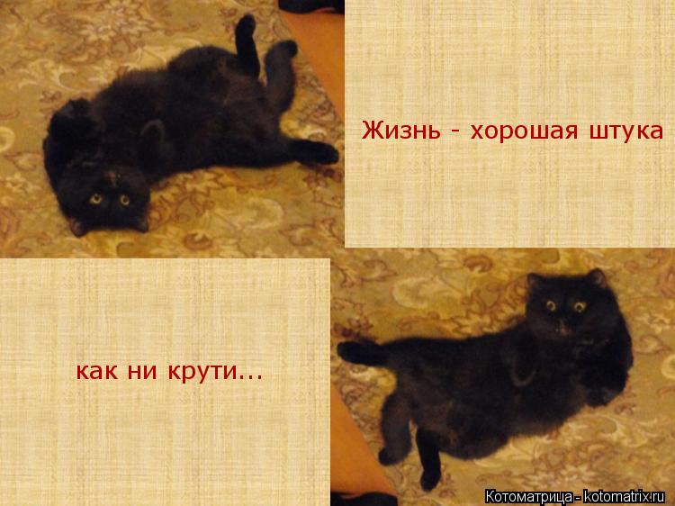 Котоматрица: Жизнь - хорошая штука как ни крути...