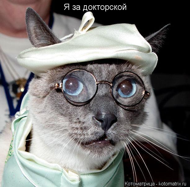 Котоматрица: Я за докторской
