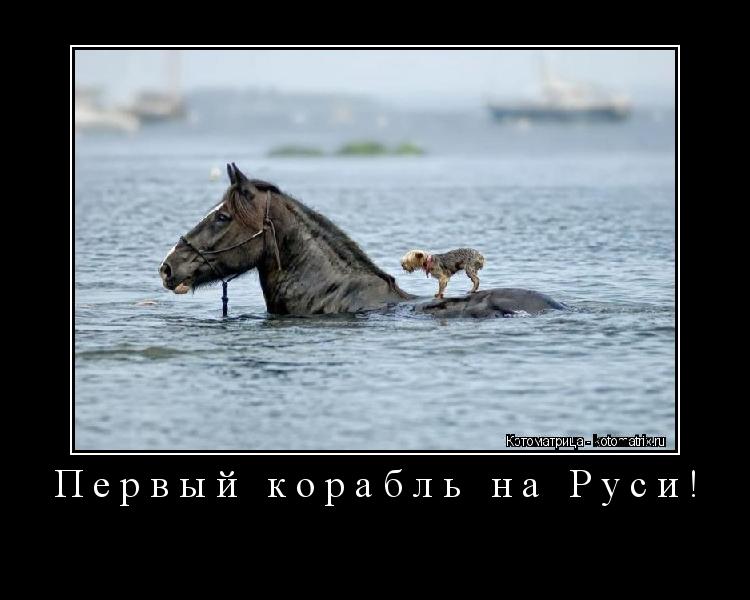 Котоматрица: Первый корабль на Руси! 