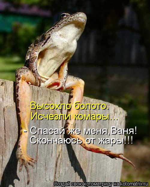Котоматрица: Высохло болото. Исчезли комары... - Спасай же меня,Ваня! Скончаюсь от жары!!!