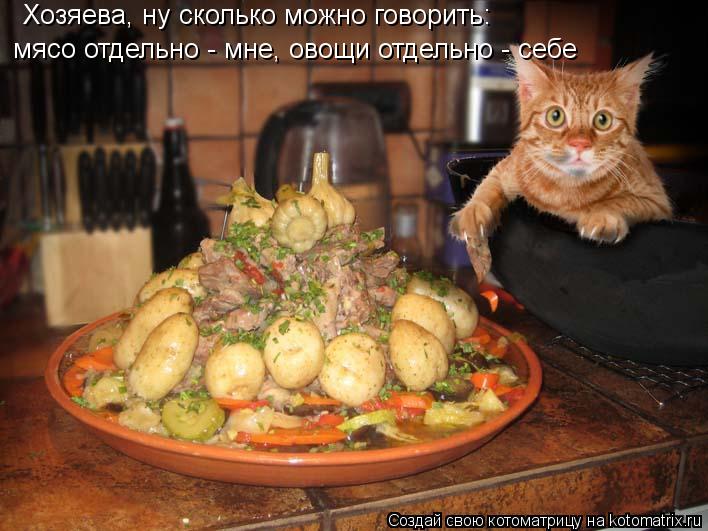 Котоматрица: мясо отдельно - мне, овощи отдельно - себе Хозяева, ну сколько можно говорить:
