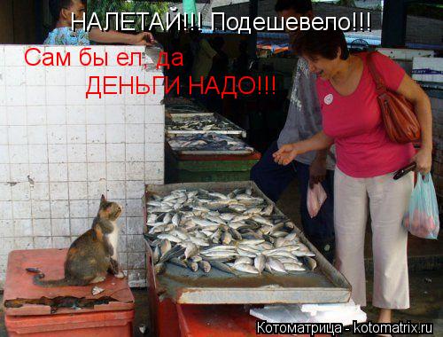 НАЛЕТАЙ!!! Подешевело!!! Сам бы ел, да ДЕНЬГИ НАДО!!!... Котоматрица: НАЛЕТАЙ!!! Подешевело!!! Сам бы ел, да ДЕНЬГИ НАДО!!!
