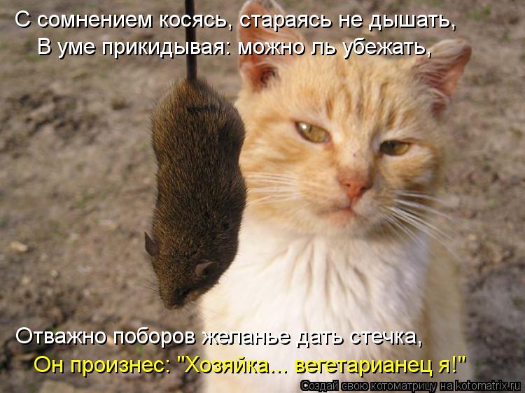 Котоматрица: С сомнением косясь, стараясь не дышать, В уме прикидывая: можно ль убежать, Отважно поборов желанье дать стечка, Он произнес: "Хозяйка... веге