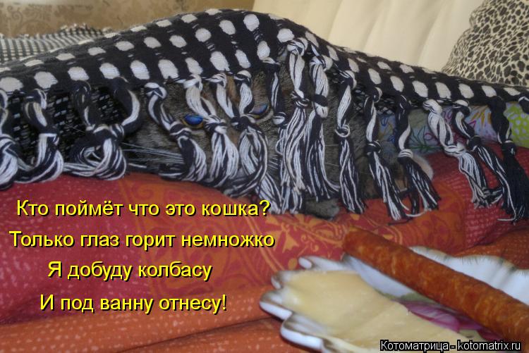 Котоматрица: Кто поймёт что это кошка? Только глаз горит немножко Я добуду колбасу И под ванну отнесу!