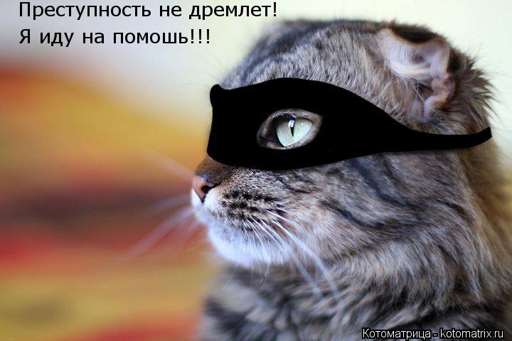 Котоматрица: Преступность не дремлет! Я иду на помошь!!!
