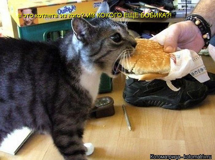 Котоматрица: а это котлета из кого? ИЗ КОКОГО ЕЩЕ БОБИКА?!