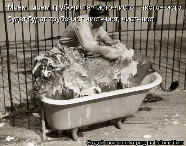Котоматрица: Моем, моем трубочиста чисто-чисто,  чисто-чисто   будет,будет трубочист чист-чист, чист-чист!