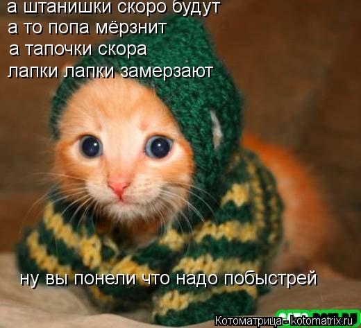 Котоматрица: а штанишки скоро будут а то попа мёрзнит а тапочки скора лапки лапки замерзают ну вы понели что надо побыстрей