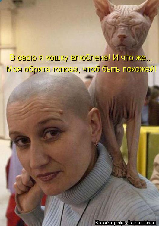 Котоматрица: В свою я кошку влюблена! И что же... Моя обрита голова, чтоб быть похожей!