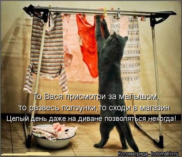 Котоматрица: То Вася присмотри за малышом, то развесь ползунки,то сходи в магазин Целый день даже на диване позволяться некогда!