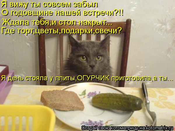 Я вижу ты совсем забыл О годовщине нашей встречи?!! Ждала тебя,и стол накрыт... Где торт,цветы,подарк... Котоматрица: Я вижу ты совсем забыл О годовщине нашей встречи?!! Ждала тебя,и стол накрыт... Где торт,цветы,подарки,свечи? Я день стояла у плиты,ОГУРЧИК при
