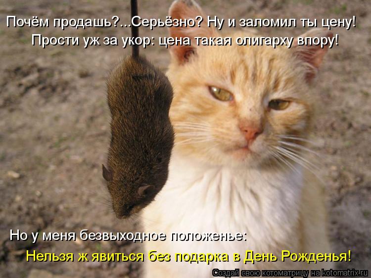 Котоматрица: Прости уж за укор: цена такая олигарху впору! Почём продашь?...Серьёзно? Ну и заломил ты цену! Но у меня безвыходное положенье: Нельзя ж явитьс