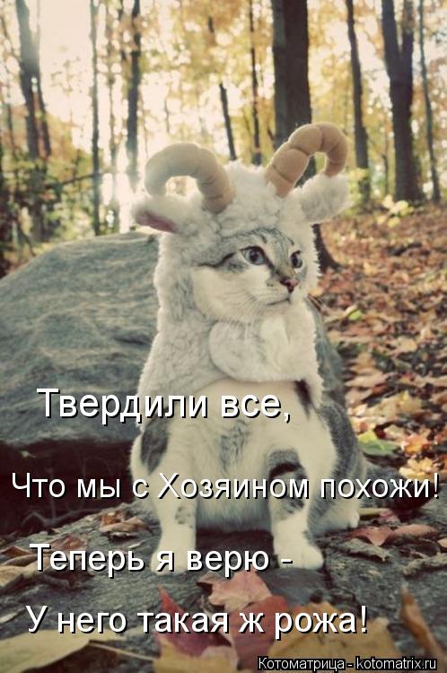 У него такая ж рожа! Теперь я верю - Что мы с Хозяином похожи! Твердили все,... Котоматрица: У него такая ж рожа! Теперь я верю - Что мы с Хозяином похожи! Твердили все,