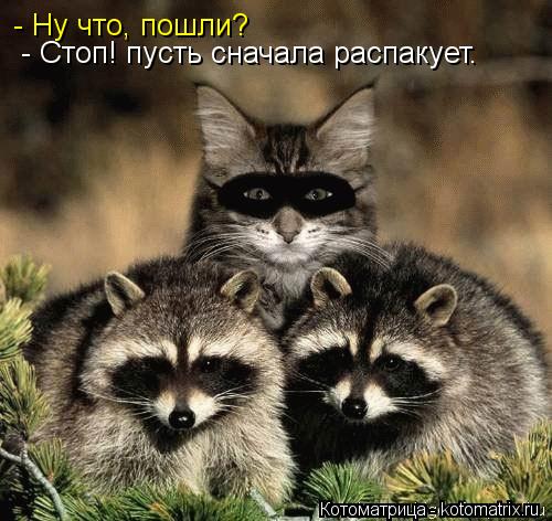 Котоматрица: - Ну что, пошли? - Стоп! пусть сначала распакует.