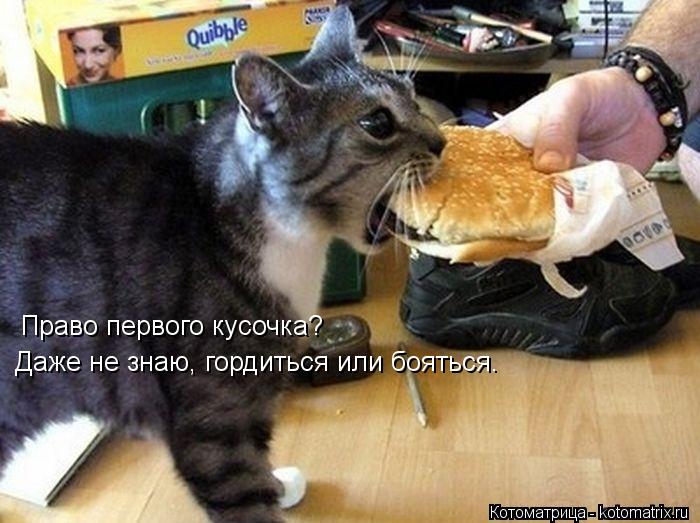 Право первого кусочка? Даже не знаю, гордиться или бояться.... Котоматрица: Право первого кусочка? Даже не знаю, гордиться или бояться.