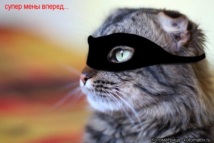 Котоматрица: супер мены вперед...