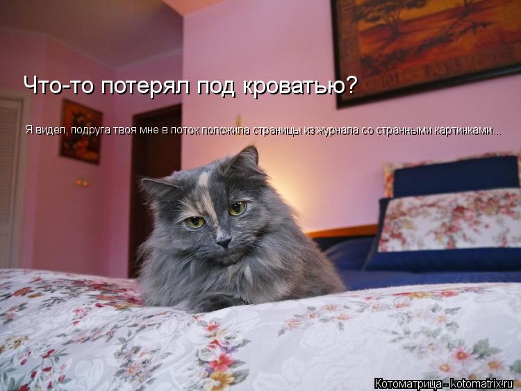 Котоматрица: Что-то потерял под кроватью? Я видел, подруга твоя мне в лоток положила страницы из журнала со странными картинками... Я видел, подруга твоя м